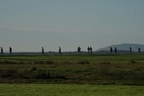 DSC06761